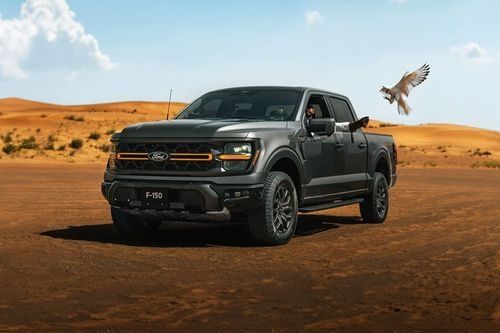 Ford F-150 Raptor parked in the desert showcasing its bold off-road design